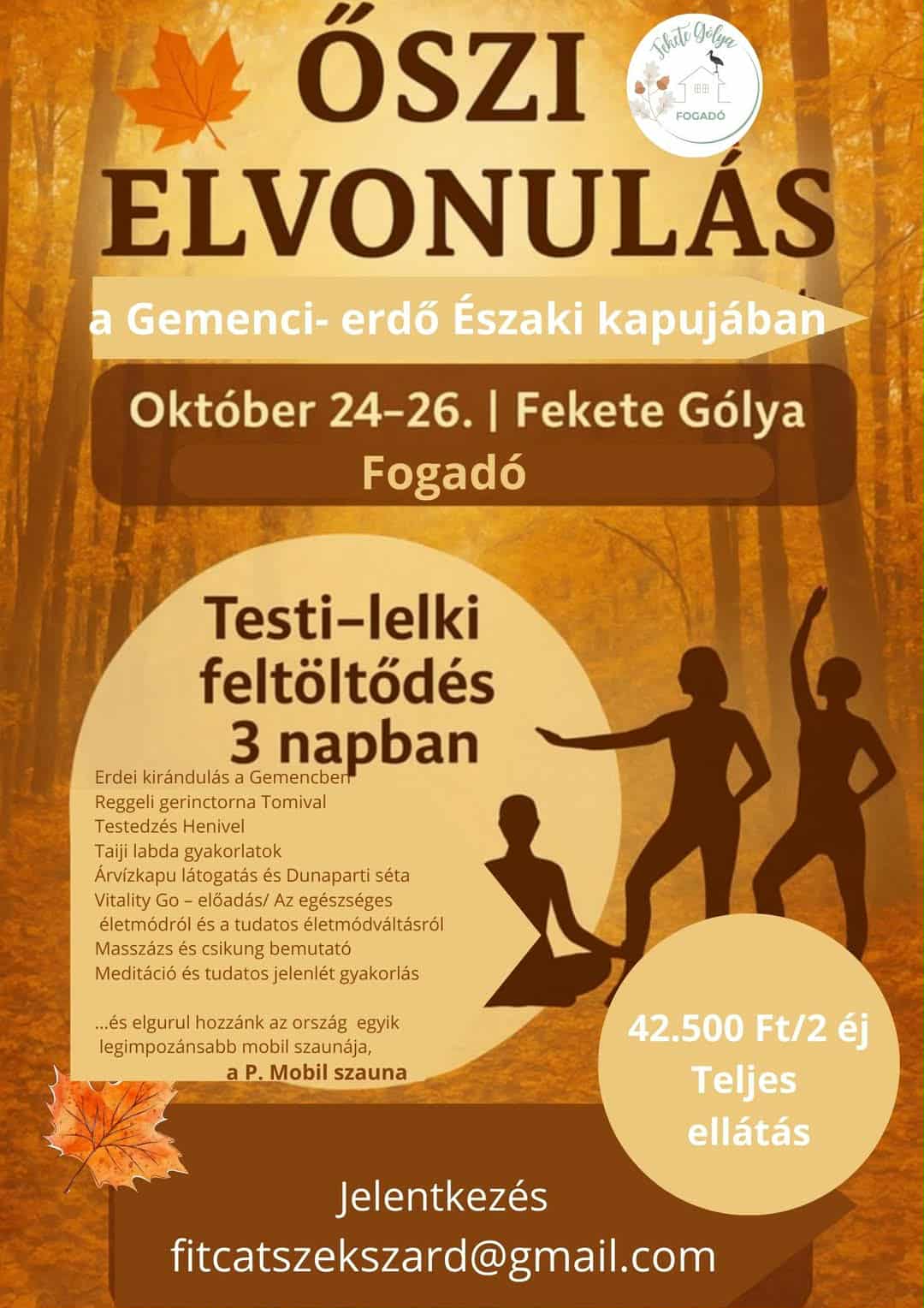 FITVITAL ARENA SZEKSZÁD